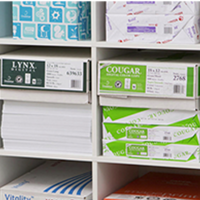 Colour and Multipurpose Paper