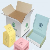 Flip Lid Food Boxes_1